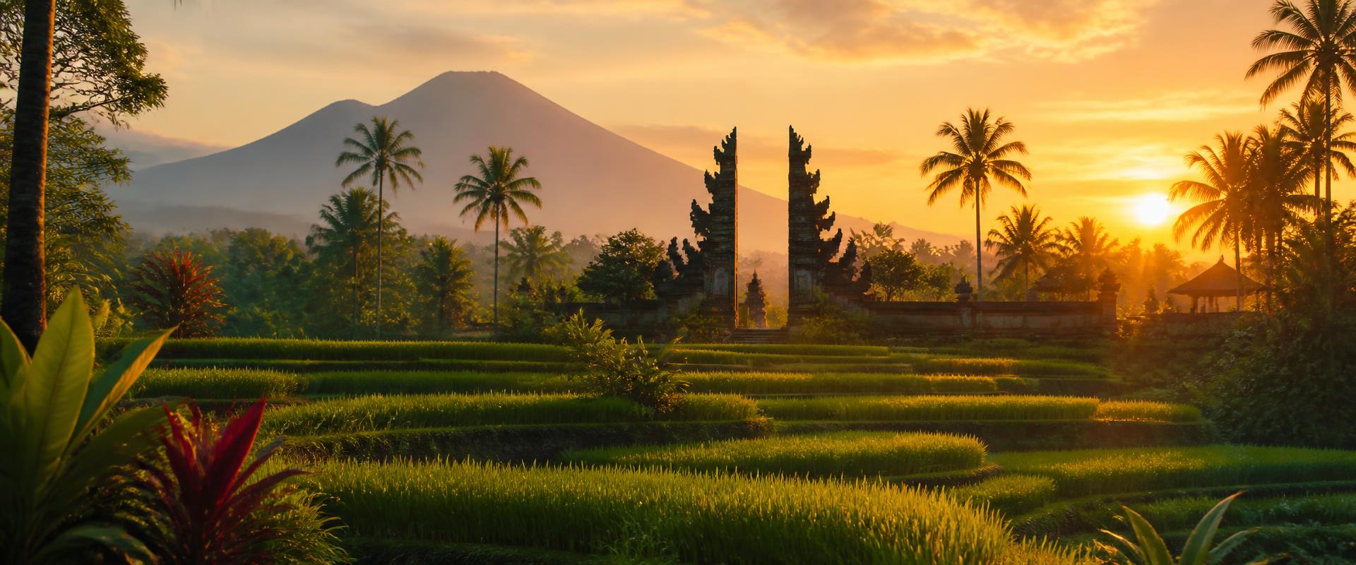 Rice terraces, palms and a traditional Bali gate at sunrise